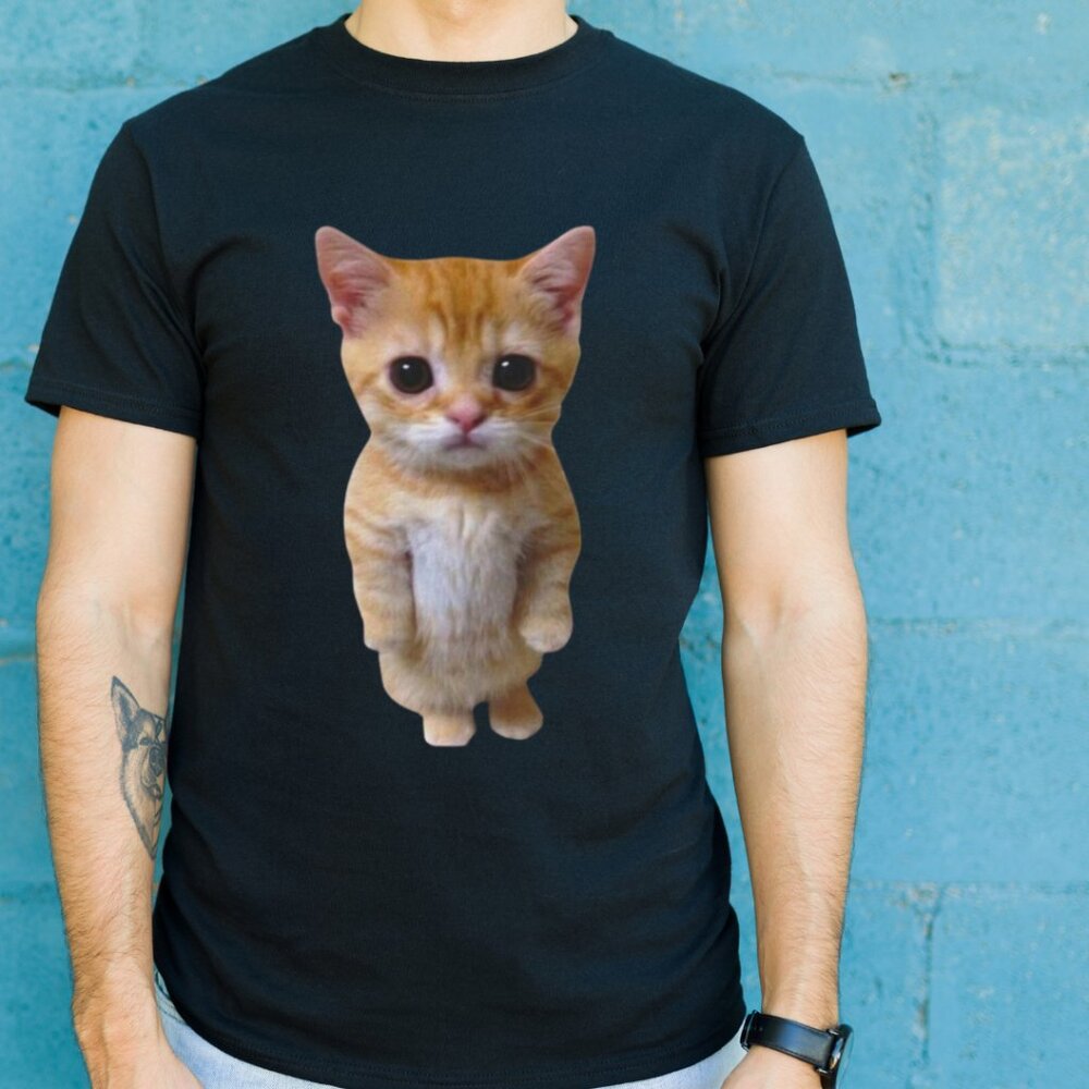 Gato Meme Sad Crying Cat Munchkin Kitty Meme Trendy T-Shirt